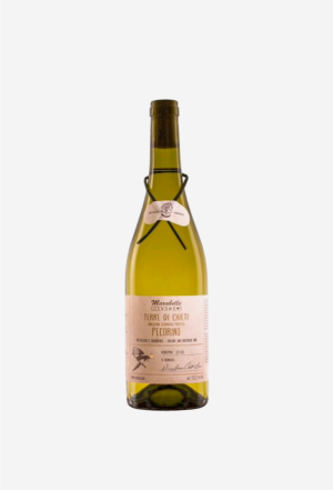 MARABELLE TERRE DI CHIETI PECORINO