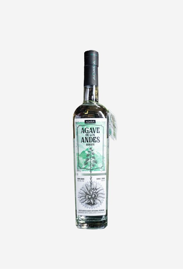 Agave de los Andes Aqará Agreste