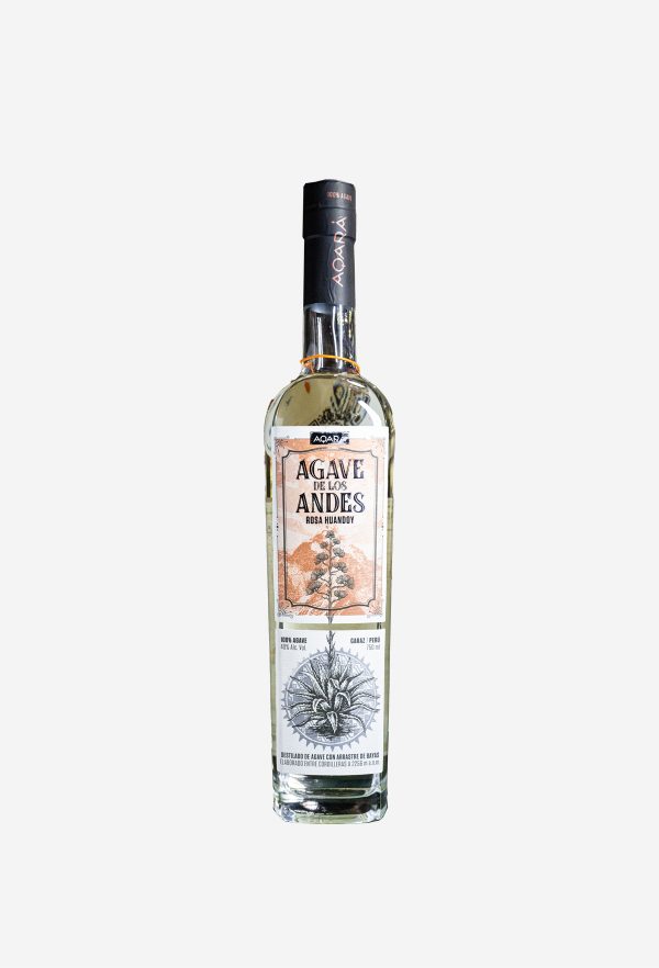 Agave de los Andes Aqará Rosa Huandoy