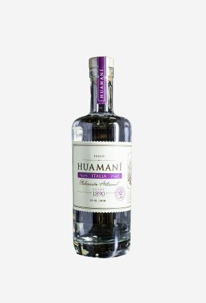 Pisco Huamaní Italia