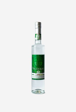 Pisco Velazquez Italia